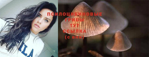 мдпв Гусев