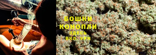 дмт Горно-Алтайск