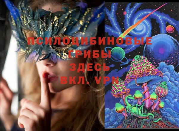 дмт Горно-Алтайск