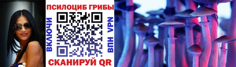 Псилоцибиновые грибы прущие грибы  Купить закладки  Зверево 